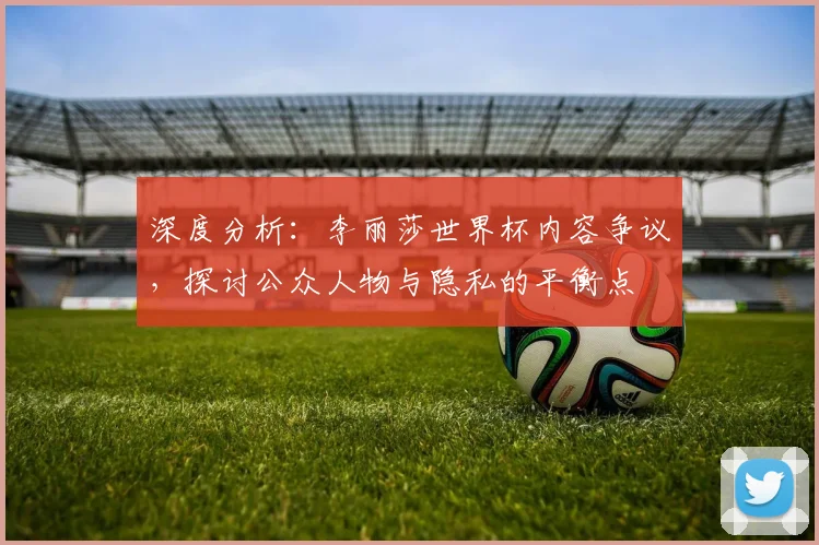 深度分析：李丽莎世界杯内容争议，探讨公众人物与隐私的平衡点