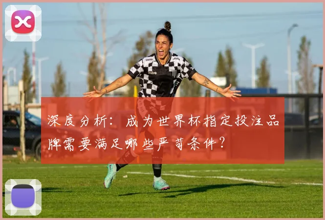 深度分析：成为世界杯指定投注品牌需要满足哪些严苛条件？