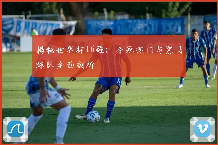 揭秘世界杯16强:夺冠热门与黑马球队全面剖析