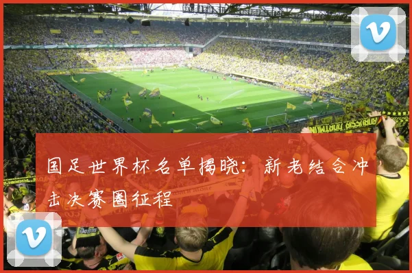 国足世界杯名单揭晓：新老结合冲击决赛圈征程