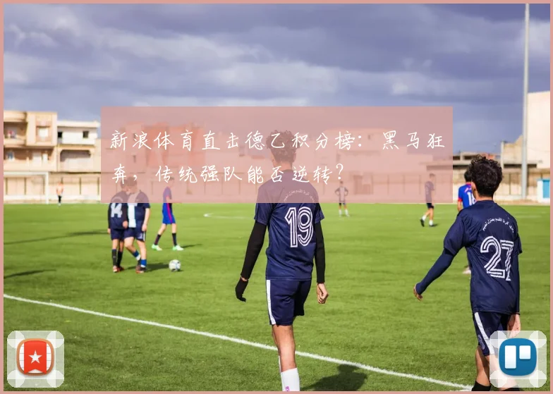 新浪体育直击德乙积分榜：黑马狂奔，传统强队能否逆转？