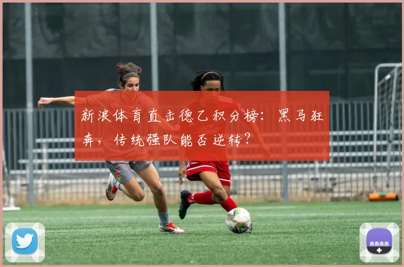 新浪体育直击德乙积分榜：黑马狂奔，传统强队能否逆转？