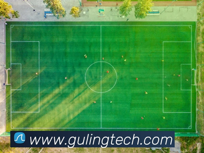 emc易倍官方官网平台生态图